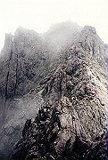 19950805_159_thumb.png