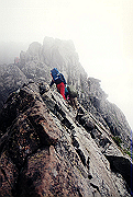 19950805_161_thumb.png