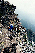 19950805_164_thumb.png
