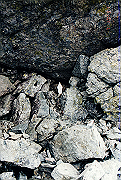 19950805_166_thumb.png