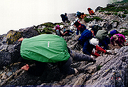 19950805_187_thumb.png