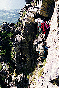 19950805_210_thumb.png