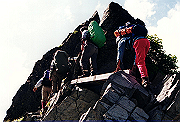 19950805_217_thumb.png