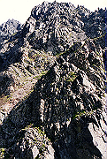19950805_218_thumb.png