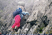 19950805_223_thumb.png