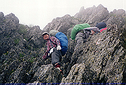 19950805_226_thumb.png
