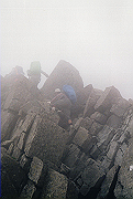 19950805_227_thumb.png