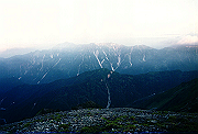 19950805_245_thumb.png