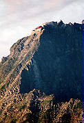 19950805_250_thumb.png