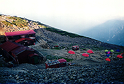 19950805_256_thumb.png