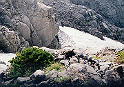 19950805_262_thumb.png