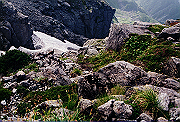 19950805_263_thumb.png
