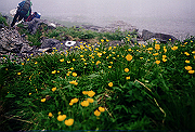 19950805_272_thumb.png