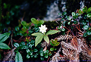 19950805_278_thumb.png