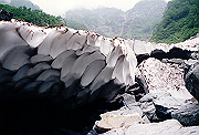 19950805_291_thumb.png