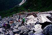 19950805_293_thumb.png