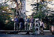 199611-023_thumb.png