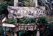 199611-028_thumb.png