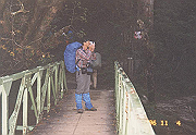 199611-0305_thumb.png