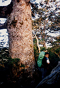 199611-032_thumb.png
