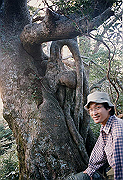 199611-038_thumb.png