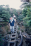199611-039_thumb.png