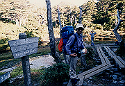 199611-040_thumb.png