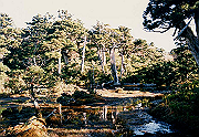 199611-048_thumb.png