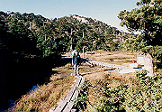 199611-054_thumb.png