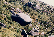 199611-064_thumb.png