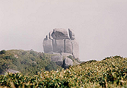 199611-065_thumb.png