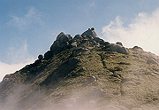 199611-066_thumb.png