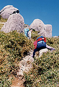 199611-068_thumb.png