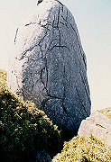 199611-071_thumb.png