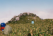 199611-078_thumb.png