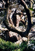 199611-082_thumb.png