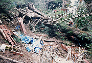 199611-090_thumb.png