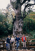 199611-093_thumb.png