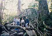 199611-096_thumb.png