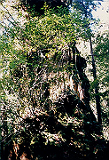 199611-098_thumb.png