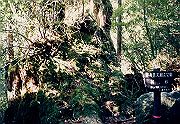 199611-099_thumb.png