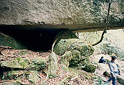 199611-114_thumb.png