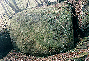 199611-119_thumb.png