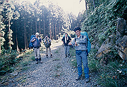 199611-123_thumb.png