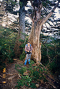 199611-a003_thumb.png