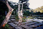 199611-a008_thumb.png