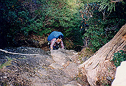 199611-a014_thumb.png