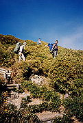 199611-a021_thumb.png