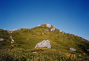 199611-a023_thumb.png