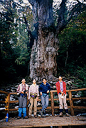 199611-a028_thumb.png